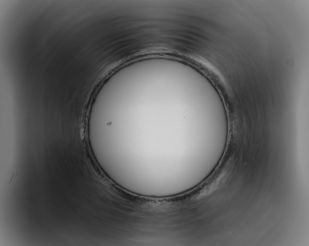 X0000094430929200711081016