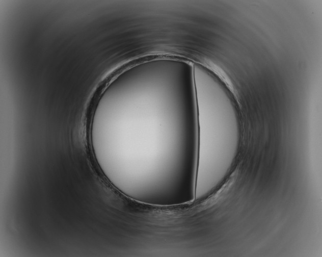 X0000094430931200711081016