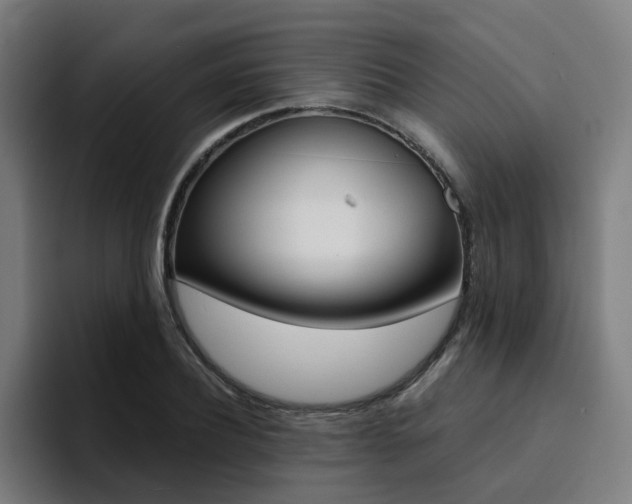 X0000094430932200711081016