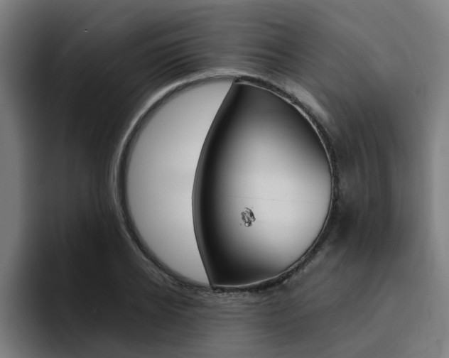 X0000094430934200711081016