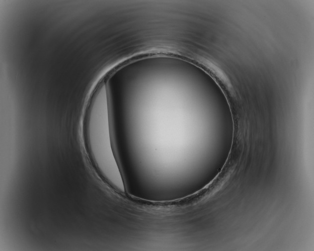 X0000094430936200711081016