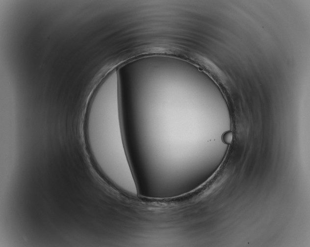 X0000094430938200711081016