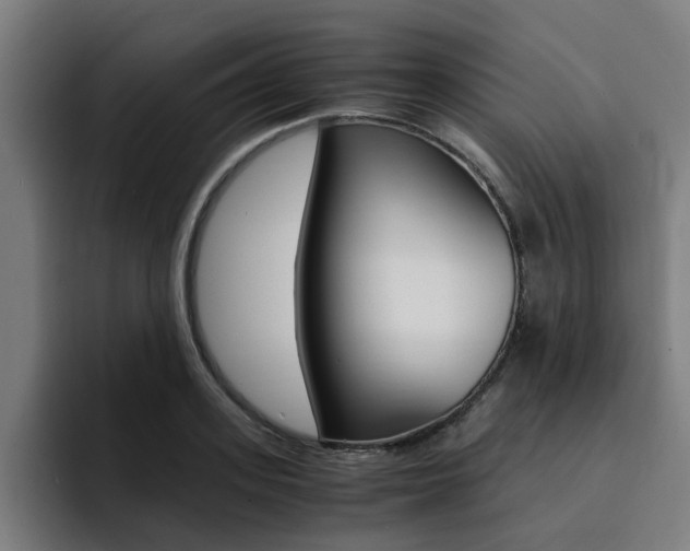 X0000094430939200711081016