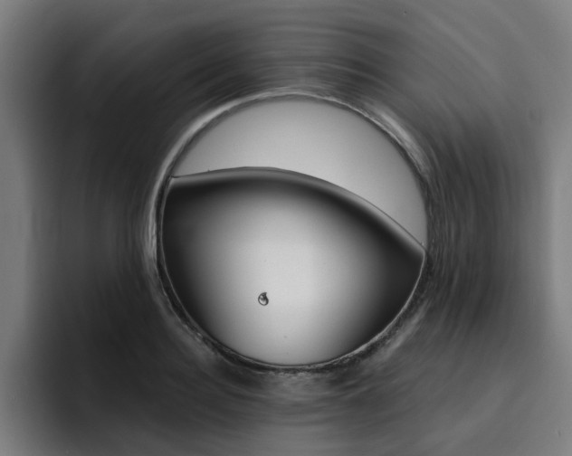 X0000094430940200711081016