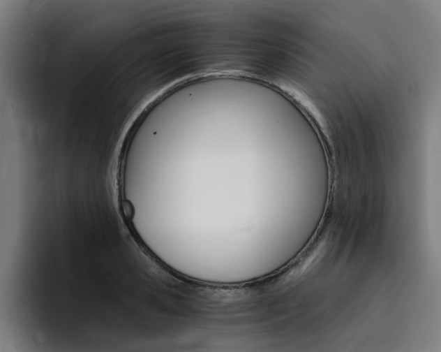 X0000094430941200711081016