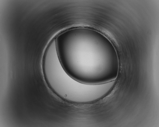 X0000094430942200711081016