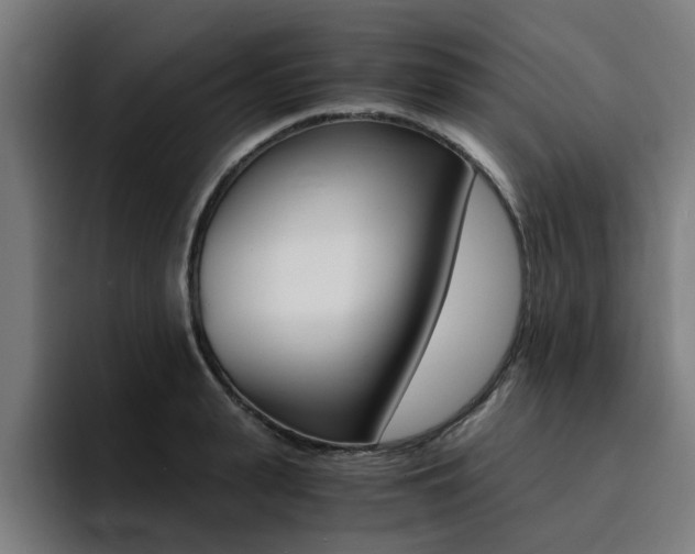 X0000094430943200711081016