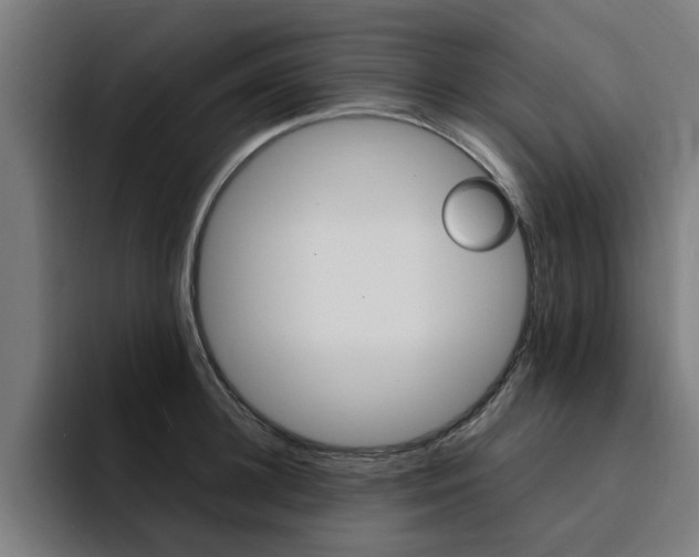 X0000094430948200711081016