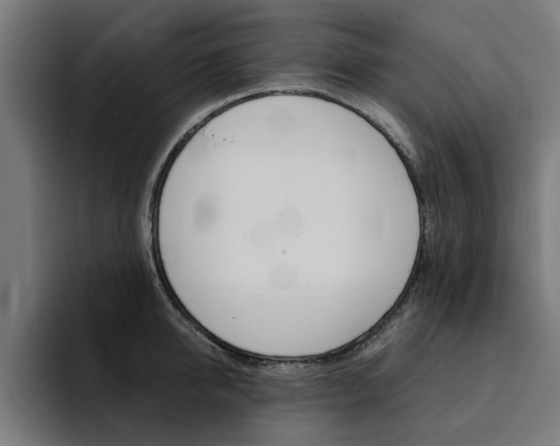 X0000094430950200711081016