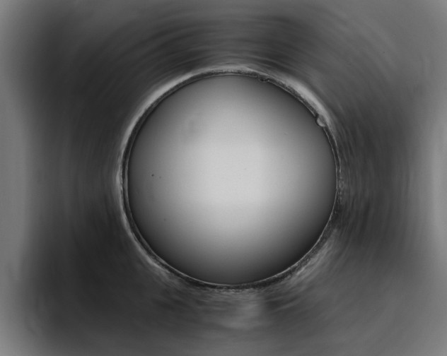 X0000094430951200711081016