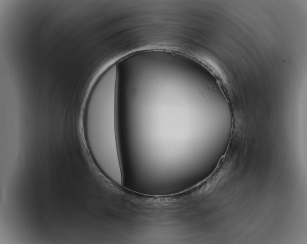 X0000094430952200711081016