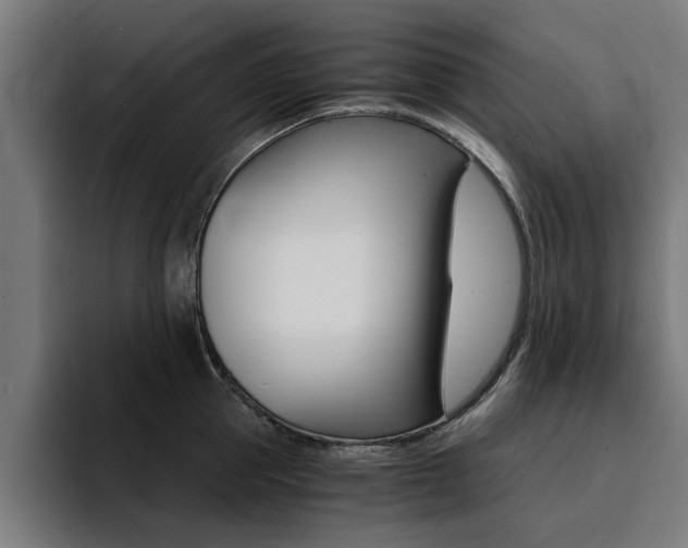 X0000094430953200711081016
