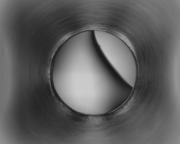 X0000094430954200711081016