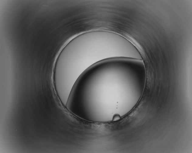 X0000094430956200711081016