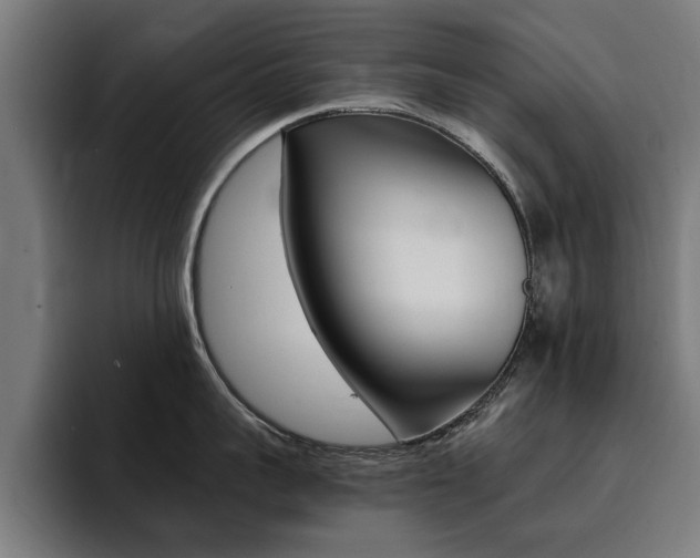 X0000094430959200711081016