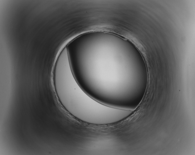 X0000094430960200711081016