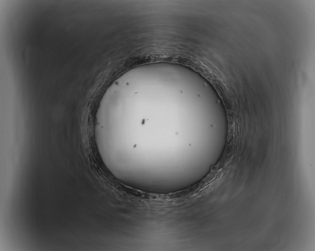 X0000094430961200711081016