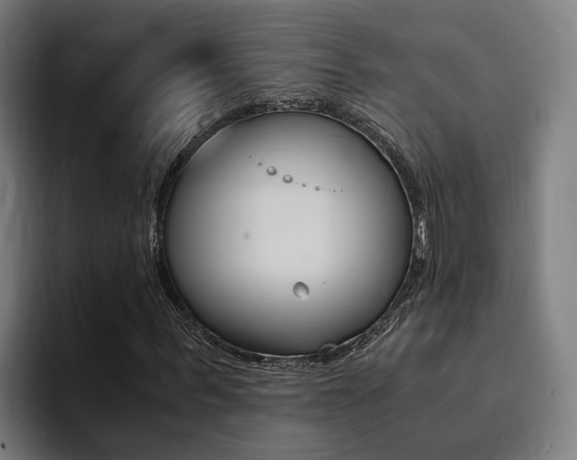 X0000094430963200711081016