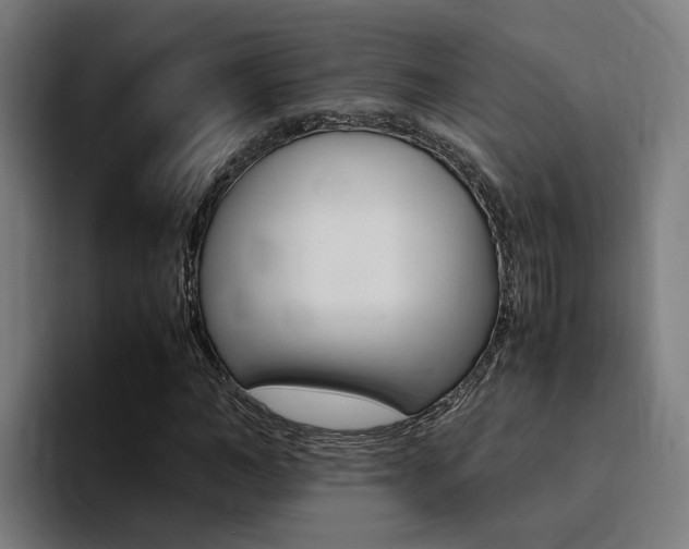 X0000094430966200711081016