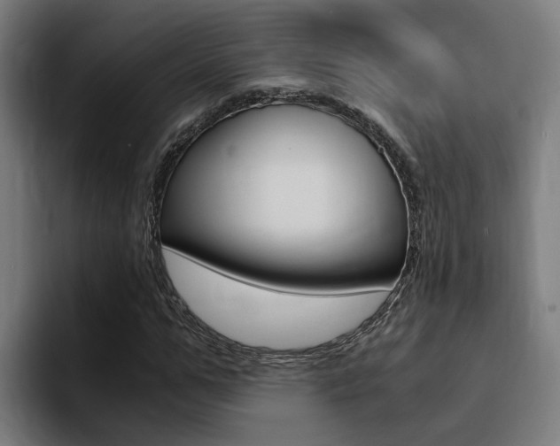 X0000094430967200711081016