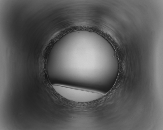 X0000094430968200711081016
