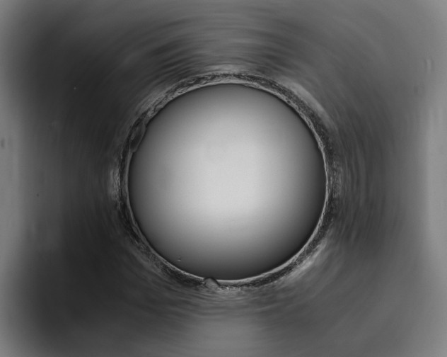 X0000094430969200711081016
