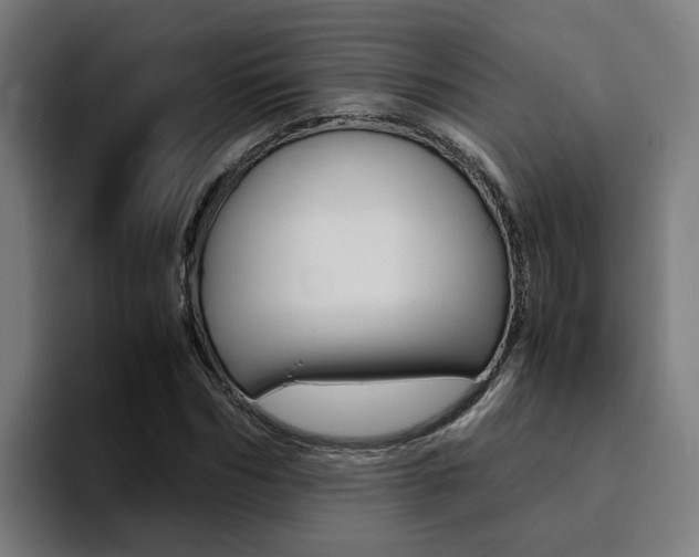 X0000094430970200711081016