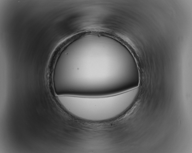 X0000094430971200711081016