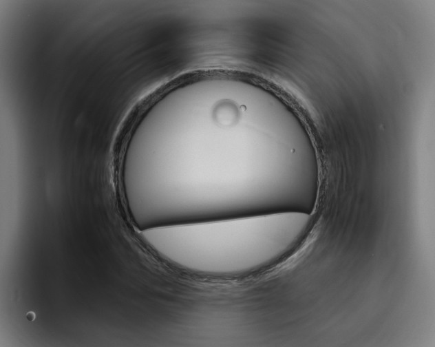 X0000094430974200711081016