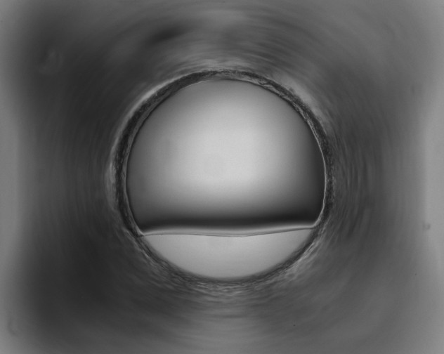 X0000094430975200711081016