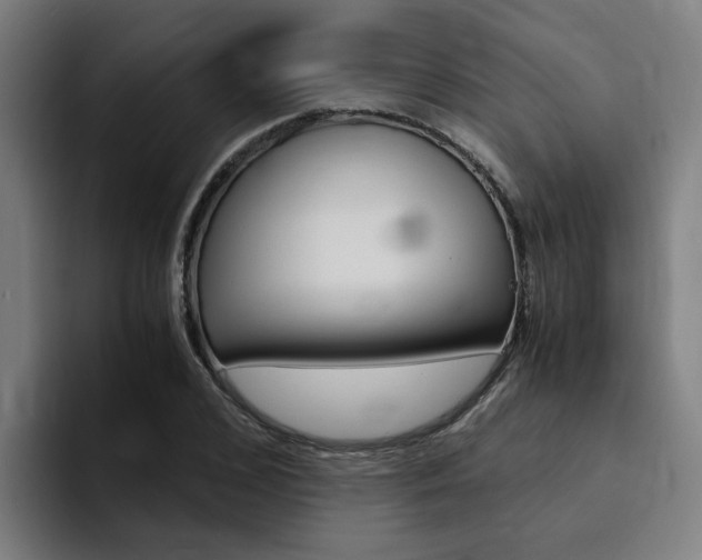 X0000094430976200711081015
