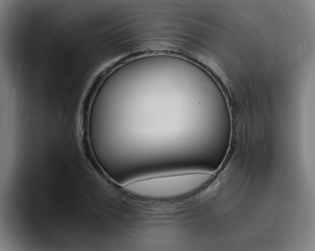 X0000094430979200711081015