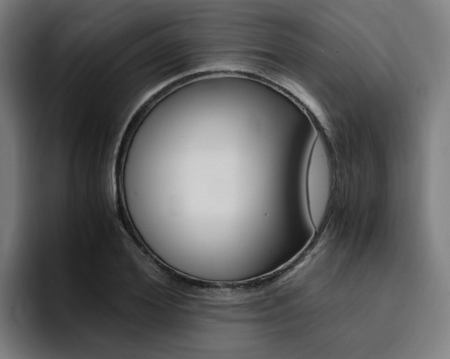 X0000094430980200711081015