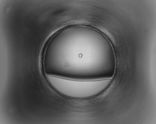 X0000094430983200711081015