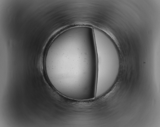 X0000094430984200711081015