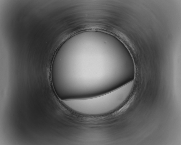 X0000094430985200711081015