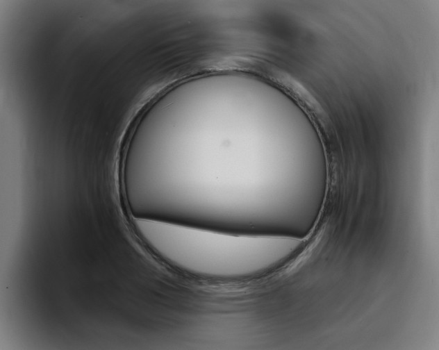 X0000094430986200711081015