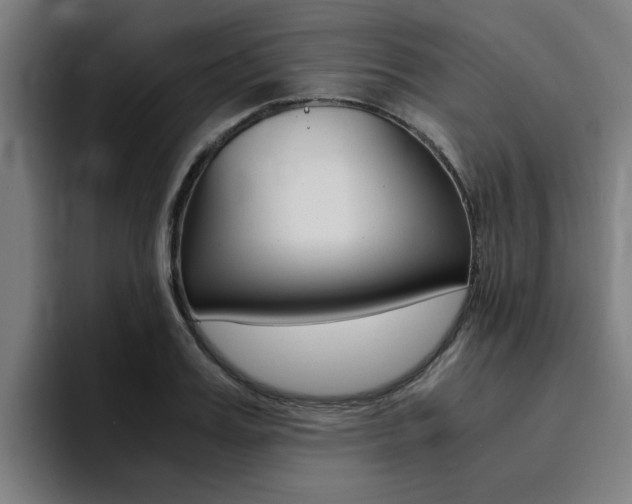 X0000094430987200711081015