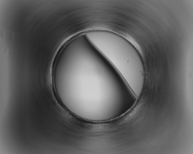 X0000094430988200711081015