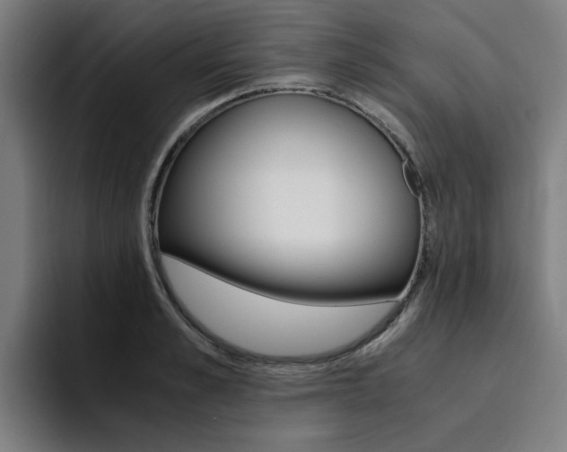 X0000094430989200711081015