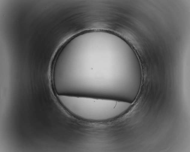X0000094430990200711081015