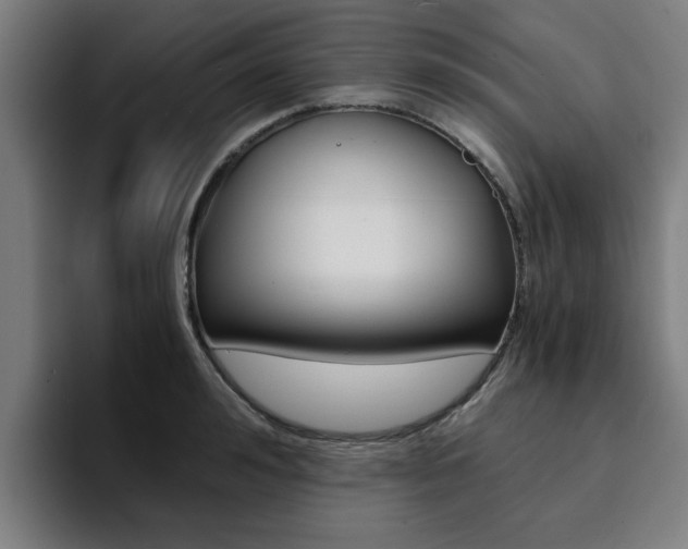 X0000094430992200711081015