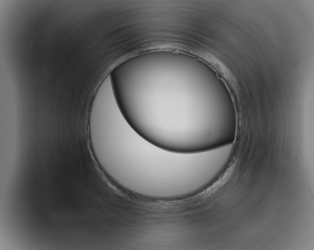 X0000094430993200711081015