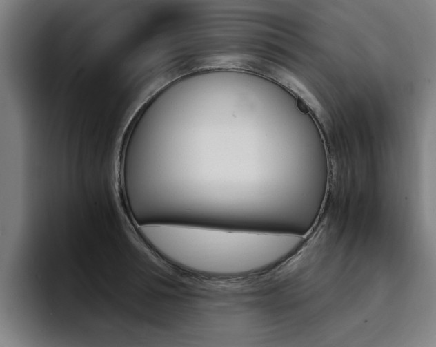 X0000094430994200711081015