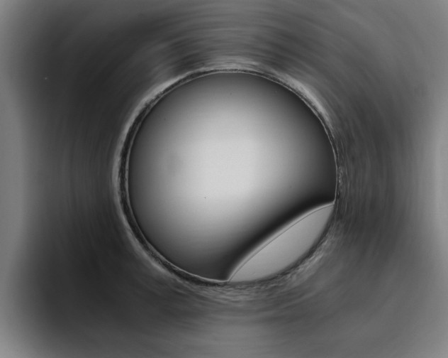 X0000094430995200711081015