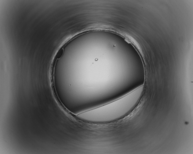 X0000094430997200711081015