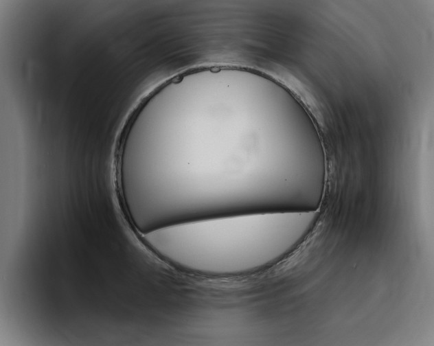 X0000094430998200711081015