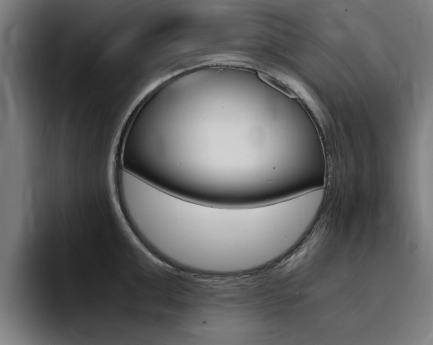 X0000094430999200711081015