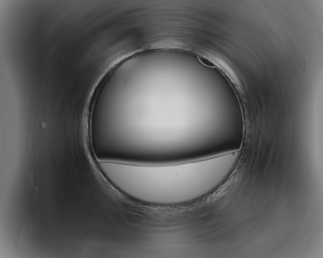 X0000094431000200711081015