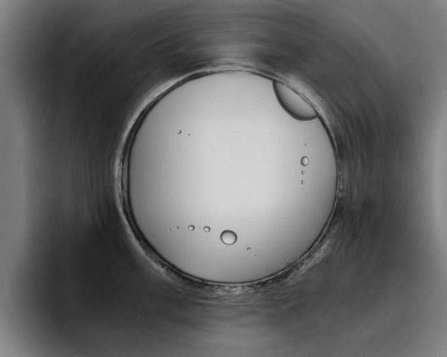 X0000094431003200711081015
